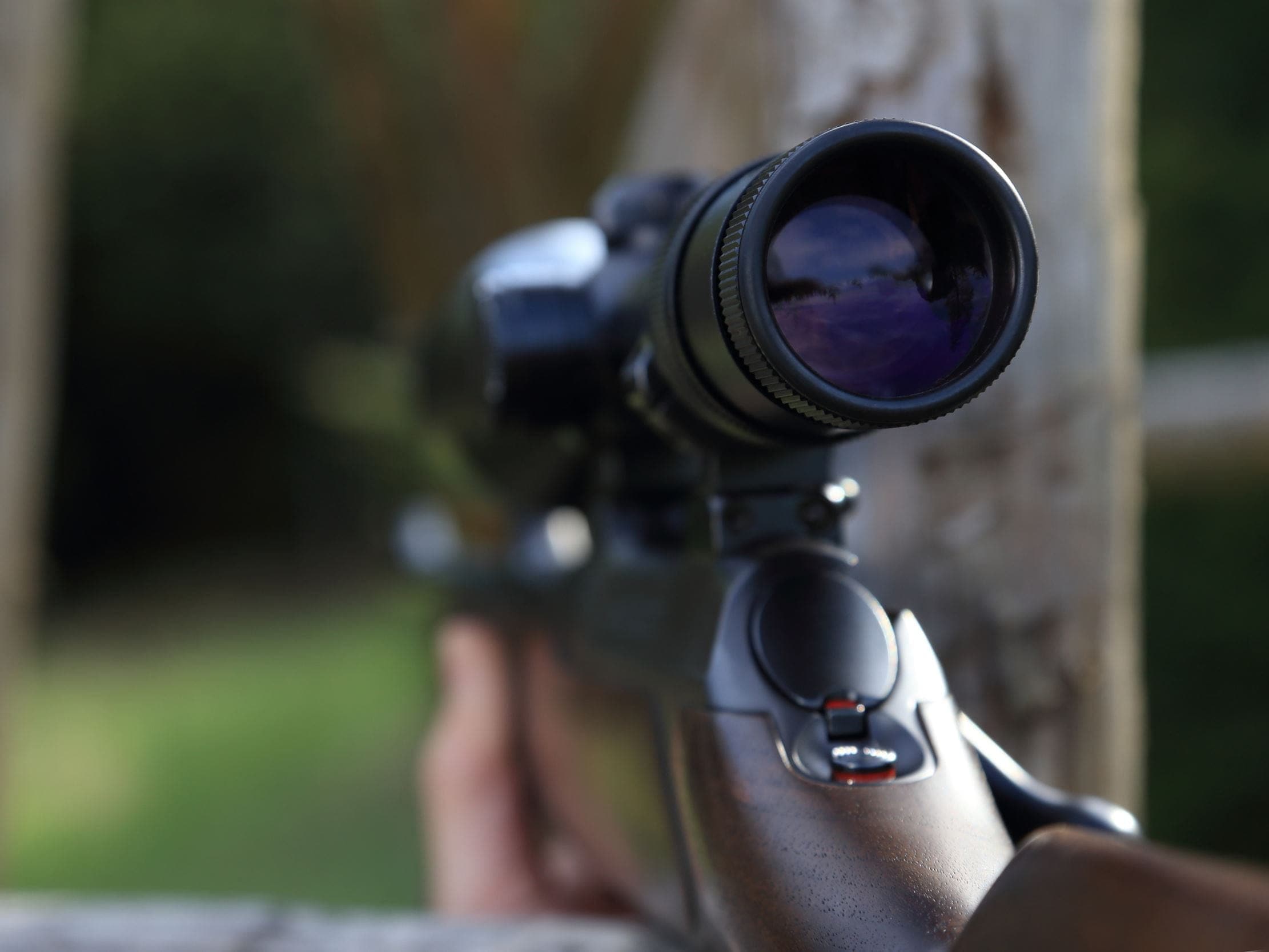 Telescopic sight of a hunting rifle